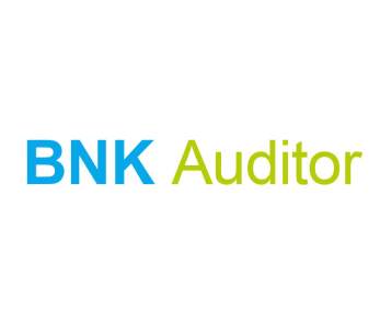 BNK Auditor